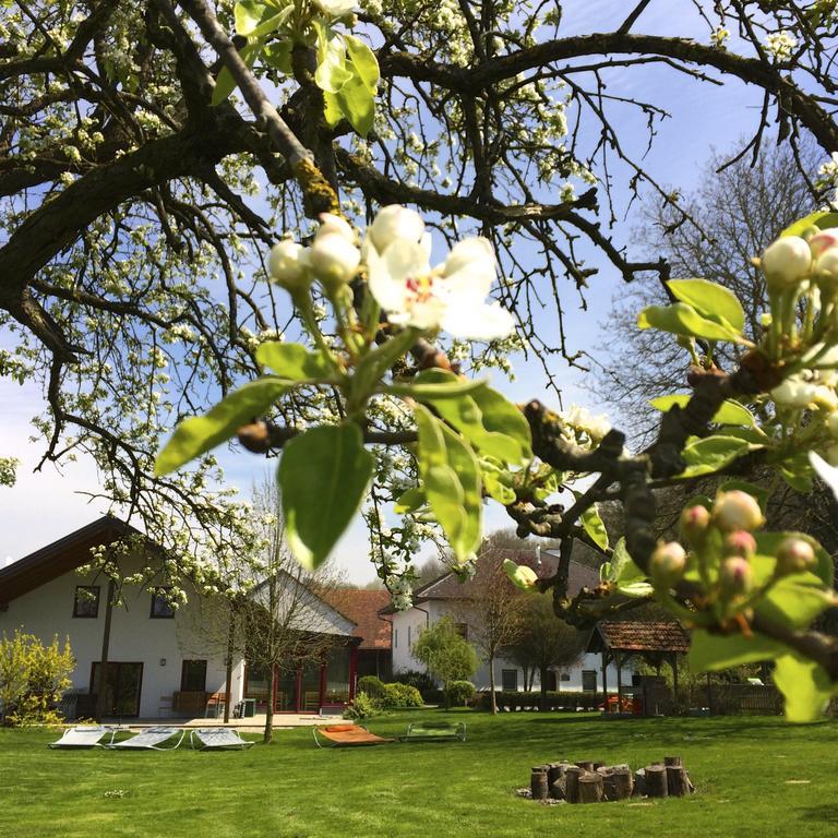 Penzion Sonnenblumenhof Mühlheim Exteriér fotografie